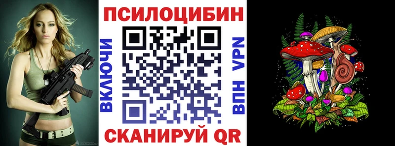 Псилоцибиновые грибы Psilocybine cubensis  Медынь 