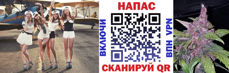 Марихуана семена  площадка официальный сайт  Медынь 